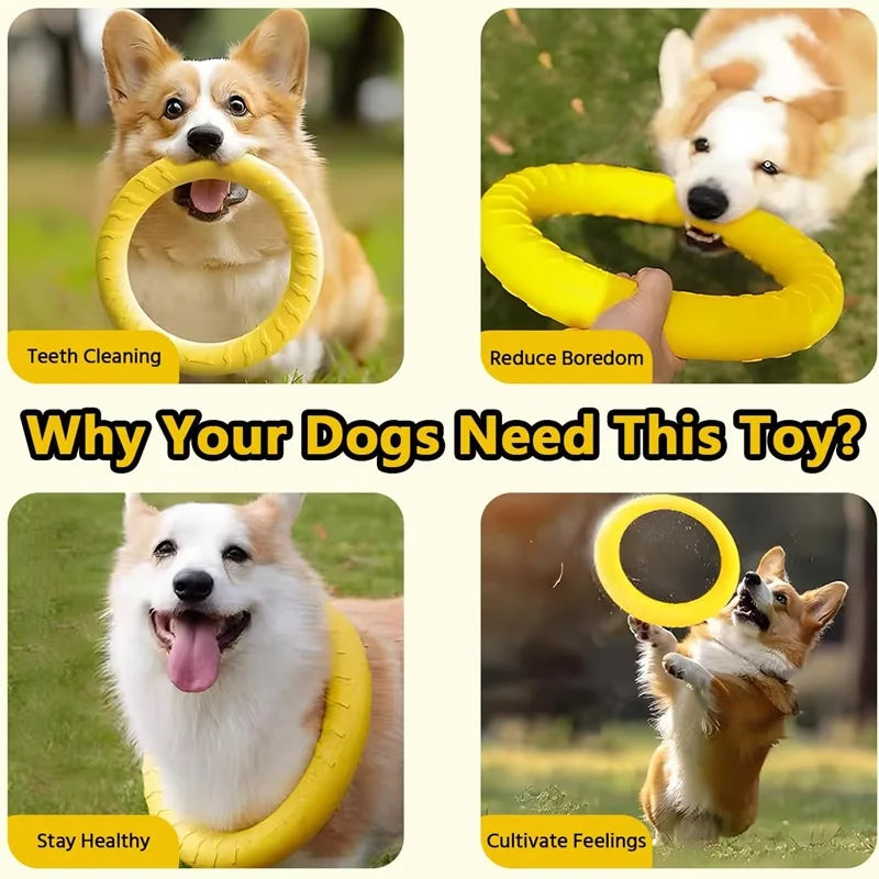 Durable Flying Disc Dog Toy – Interactive Training Ring