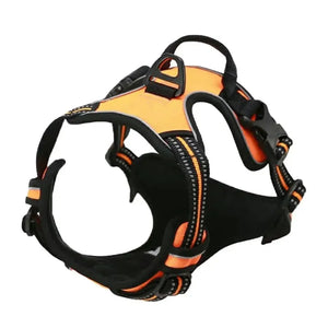 Dog Collar, Harness & Leash Set for Small and Medium Dogs