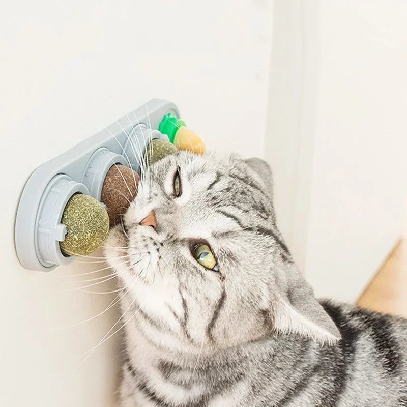 4-in-1 Catnip Silvervine Ball Toy – Teeth Cleaning & Wellness