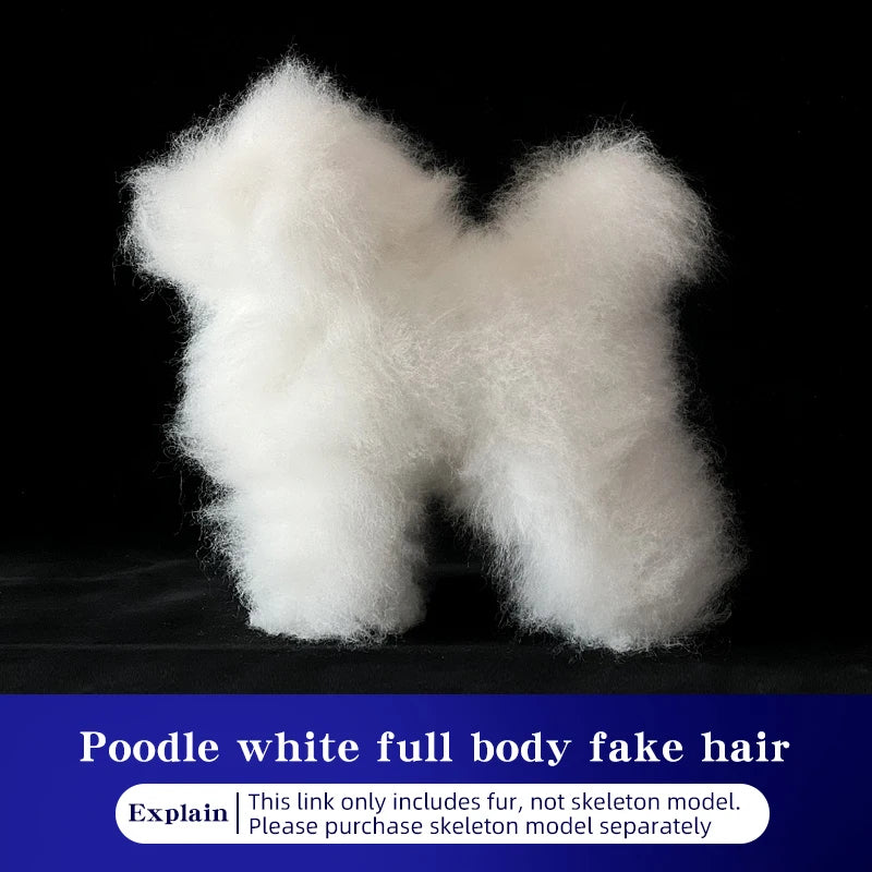 SEO Title: Poodle Dog Grooming Practice Model – Full Body Pet Grooming Dummy