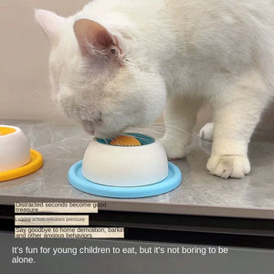Interactive Pet Lick Toy & Slow Feeder for Dogs and Cats