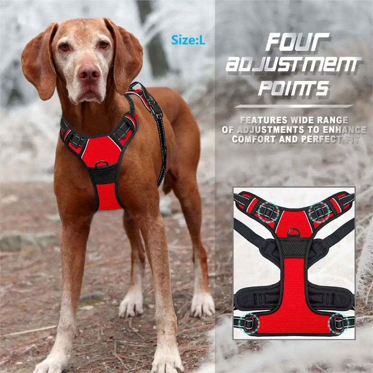 Dog Collar, Harness & Leash Set for Small and Medium Dogs