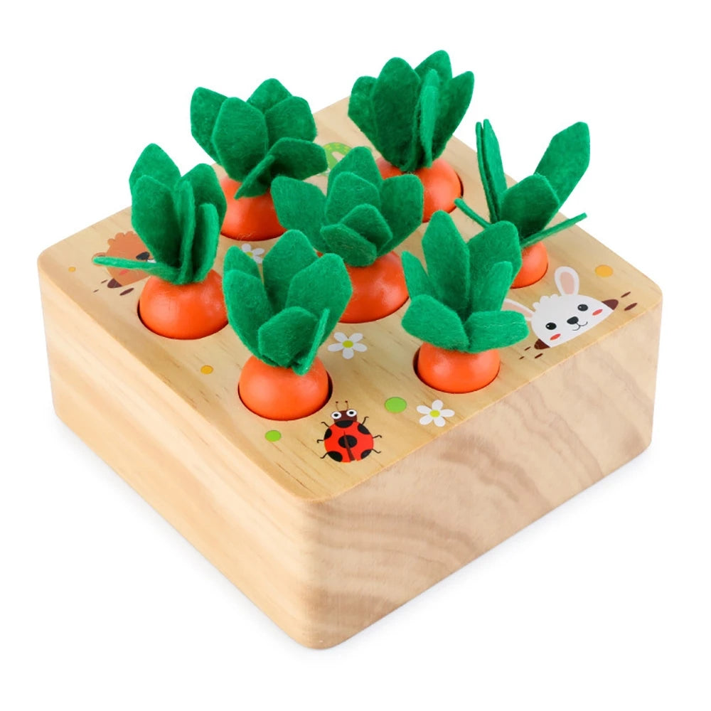 Montessori Wooden Geometry Puzzle Toy for Kids