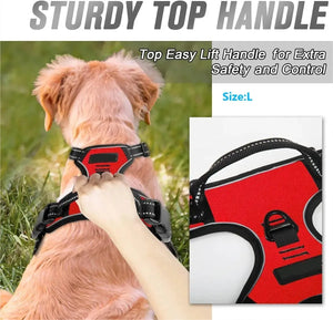 Dog Collar, Harness & Leash Set for Small and Medium Dogs