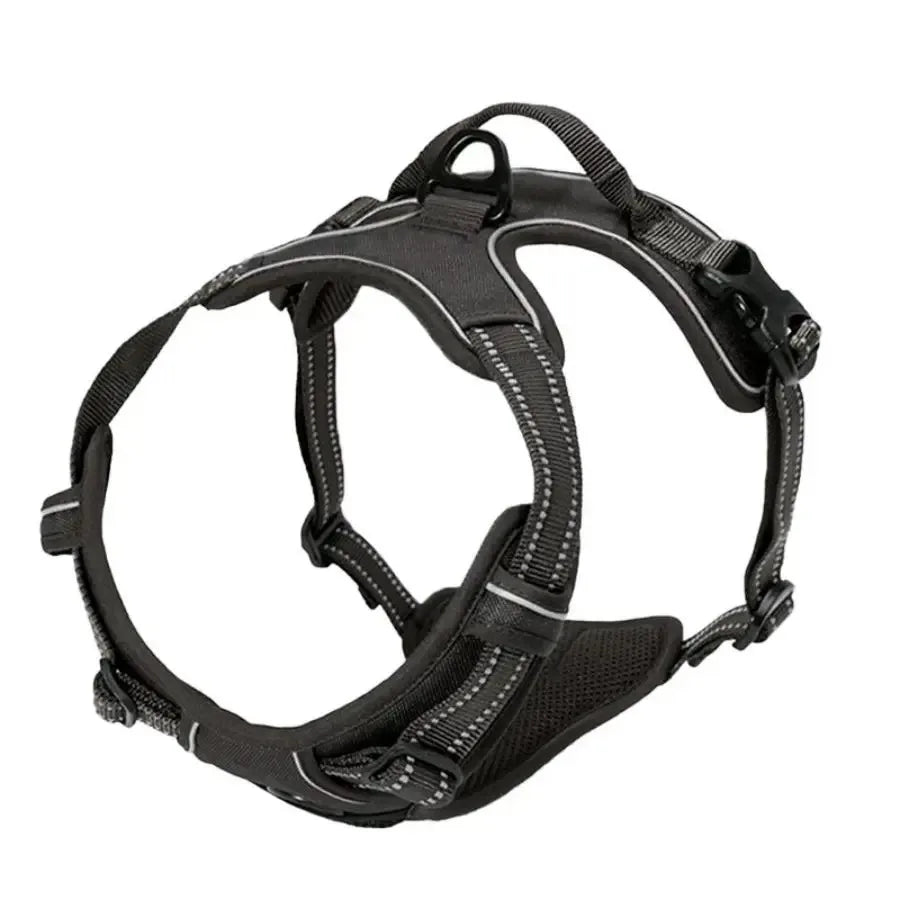 Dog Collar, Harness & Leash Set for Small and Medium Dogs